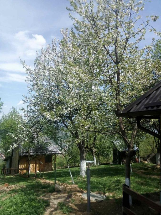 Bungalows Old Town Visoko Exterior foto